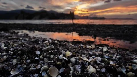 Bafa Lake Stock Photos