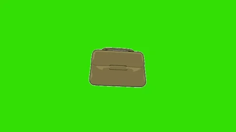 Bag animation on green background Stock Footage 330216276