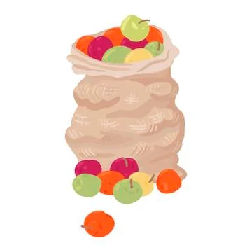 Bag of apples. Vector isolated object on white background. Stock Illustration