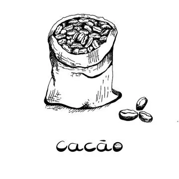The bag with the bean of the cacao tree. Black and white image in the style o Stock Illustration