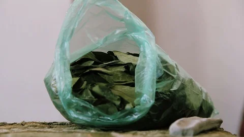 Bag of Coca leaves in deep mountain of Andes, Bolivia Stock Footage 94576566