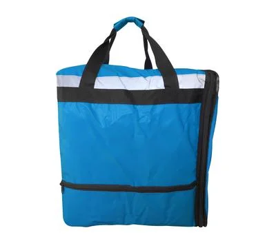 Bag cooler blue 库存照片