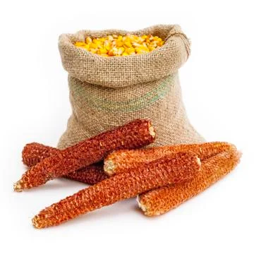 Bag of corn kernels with corn cobs in front Stock Photos