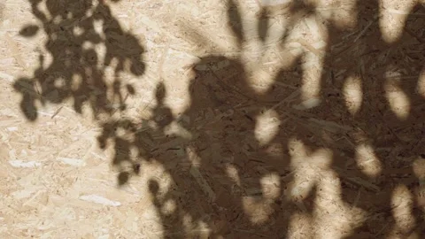 Bag of eggs falling down and cracking Stock-Footage 275889904