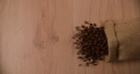 Bag falling and scattering coffee beans top view Slow motion video Stock Footage 98045707