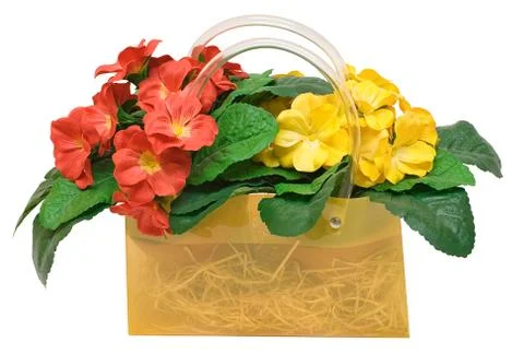 Bag with Flowers Foto stock