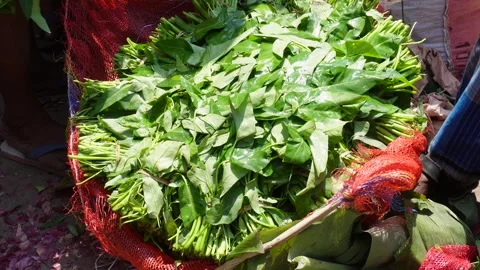 A bag full of bundle of water spinach Stock Footage 304065117