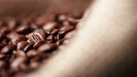 Bag full of coffee beans with pan camera movement close-up Stock Footage 208757293