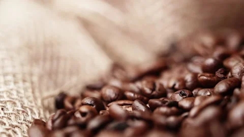 Bag full of coffee beans with pan camera movement close-up Stock Footage 208763977