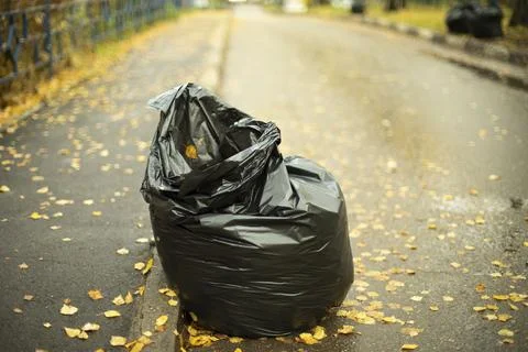 Bag of garbage on side of road. Leaf harvesting. Collecting waste in black ba Foto stock