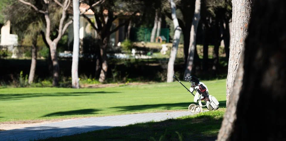 Bag for golf equipment with set of sticks, clubs on course at game training.. Stock Photos