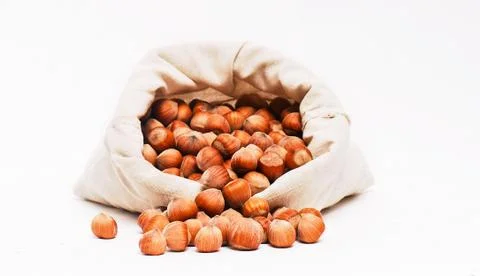 Bag of hazelnuts. Stock Photos