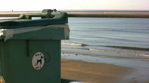 Bag it Bin it Stock Footage 513543