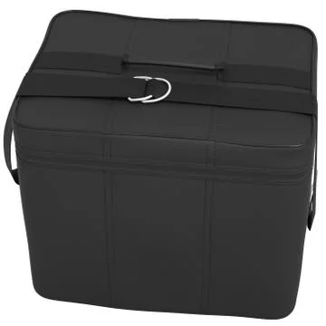 Bag leather Illustrazione stock