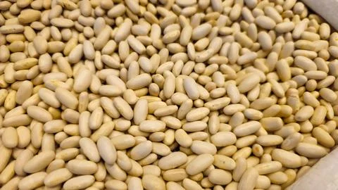 Bag with lots of white beans native to Brazil Foto stock