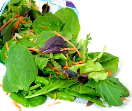 Bag of salad Stock-Fotos