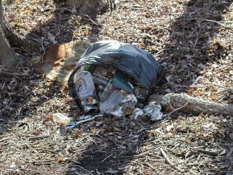 Bag of trash in the forest Stock Photos