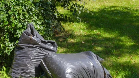 A bag of trash on the grass. Cleaning up the grounds during, animation Stock Footage 341591299
