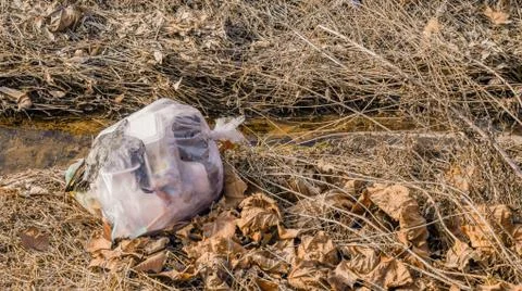 Bag of trash by the side of a stream  Stock Photos