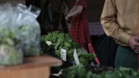 Bag of Vege Video stock 105420621