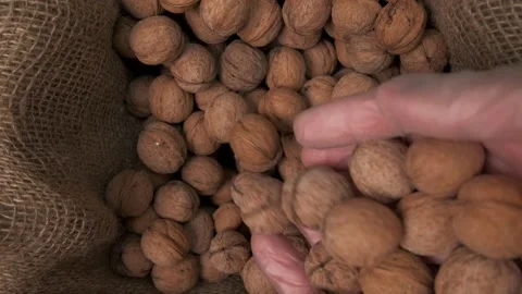 In a bag of walnuts, hands in protective gloves pour a handful Stock Footage 150278211