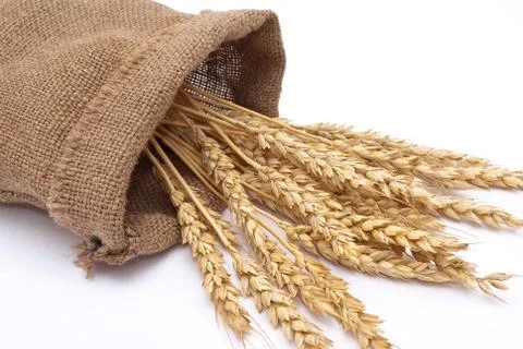 Bag with wheat ears Stock Photos