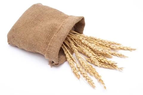 Bag with wheat ears Stock Photos
