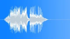 Bag Zipper (2) Sound Effect