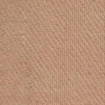 Bagasse 写真素材