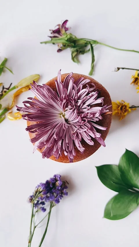 Bagel adorned with a delicate flower Stock Footage 271606922