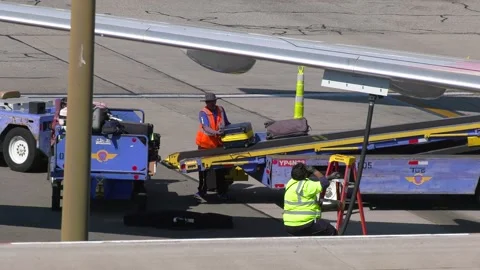 Baggage handler emptying a plane of luggage, at a airport in LA, USA - Video stock 194251225