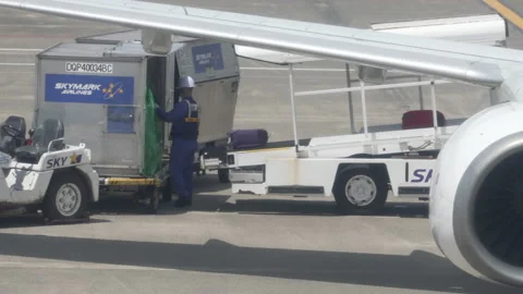 Baggage Handler Loading Luggage Onto An Airplane Through A Conveyor Belt. Video stock 160986823