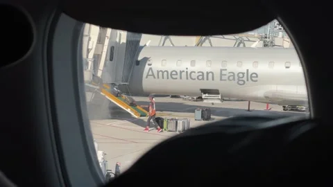 Baggage handler taking suitcases luggage off plane - airplane passenger window Video stock 161927423