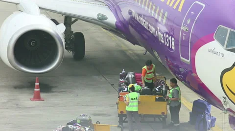 Baggage Handlers Loading Luggage on a Plane 스톡 동영상 29935966