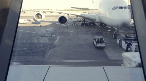 Baggage handlers ready to load and unload cargo 스톡 동영상 54444728