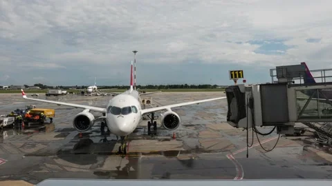 Baggage Handlers Unloading Cargo From A Passenger Airplane At The Airport 스톡 동영상 156435880
