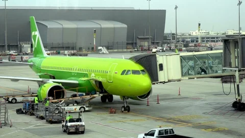 Baggage unloading airplane Stock Footage 101320169