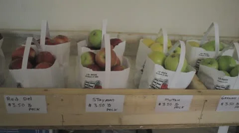 Bagged apple variety Stock Footage 8985642