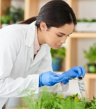 Bagging a few samples. Shot of a young scientist putting soil samples into a bag Stock Photos