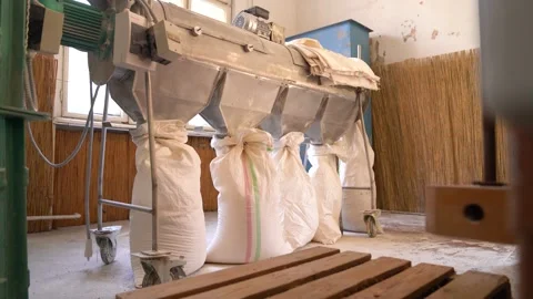 Bagging Machine With Bags Of Flour At Wheat Grain Processing Plant. static Video stock 279051312