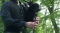 Bagpipe player hands on bagpipe close up HD Footage