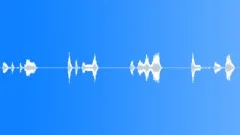 Bagpipes,Honks,Med,BreathySound Effect