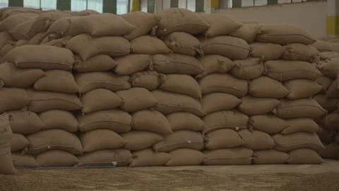 Bags of coffee beans coffee processing factory. warehouse of coffee in bags Stock Footage 279920397