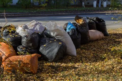 Bags of foliage in the fall Stock Photos