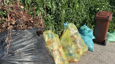 Bags of Sorted Waste Stock Footage 284211349
