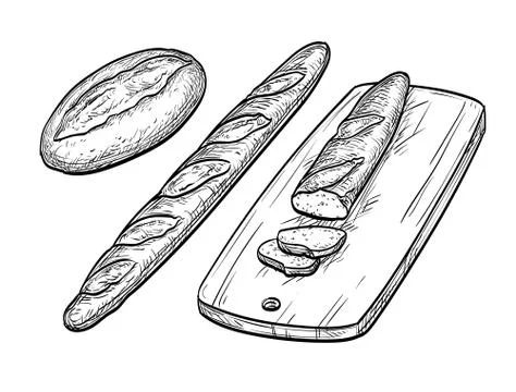 Baguette and rustic bread. 库存插图