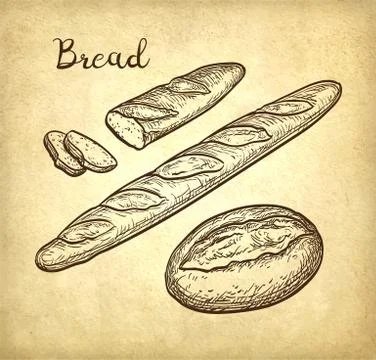 Baguette and rustic bread. 库存插图