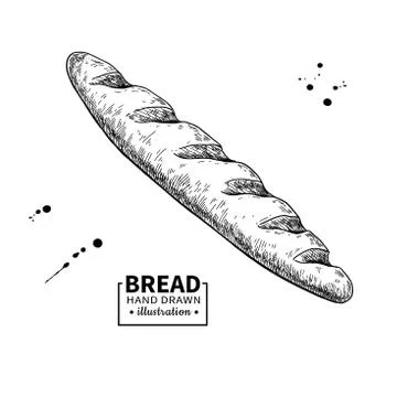Baguette bread vector drawing. Bakery product sketch. Stock Illustration