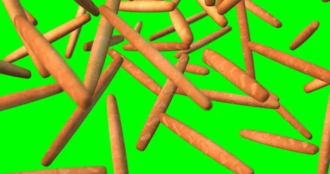 Baguette falling slow motion Video stock 108467745