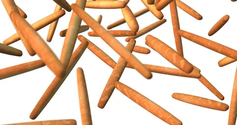 Baguette falling slow motion Stock Footage 108468925